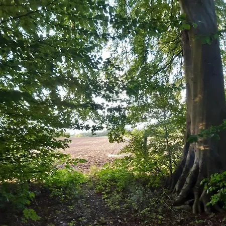 Apartmán Lundtofthoj Aabenraa