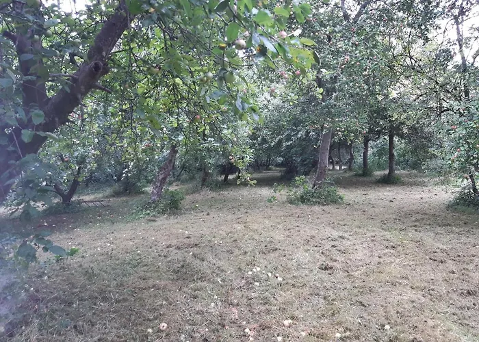 Lundtofthoj Apartman