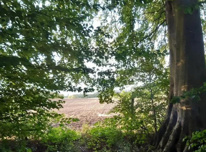 Apartman Lundtofthoj Aabenraa