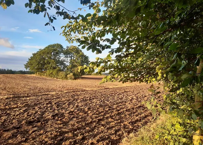 Lundtofthoj Apartman